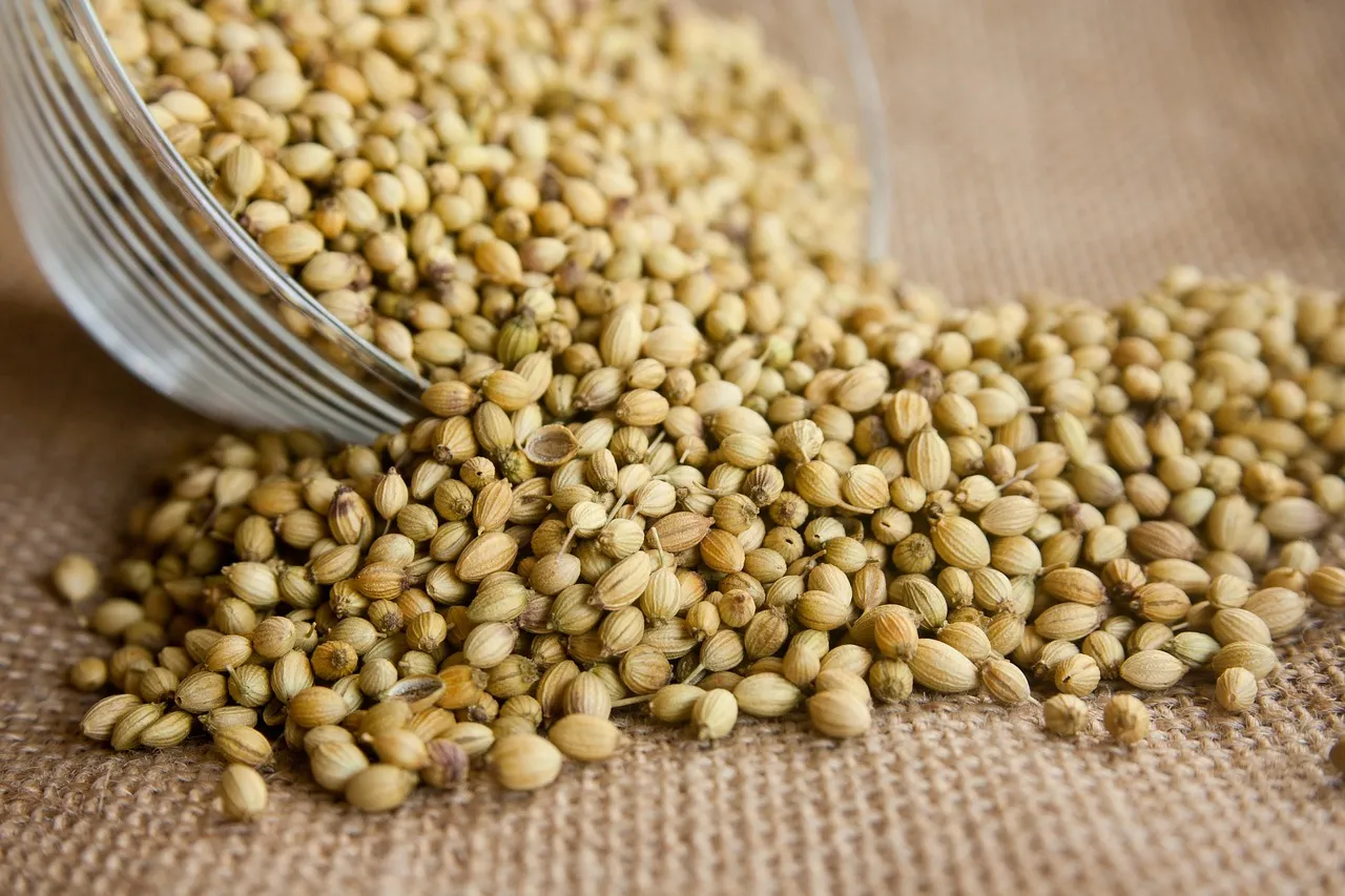 coriander, seeds, seasoning