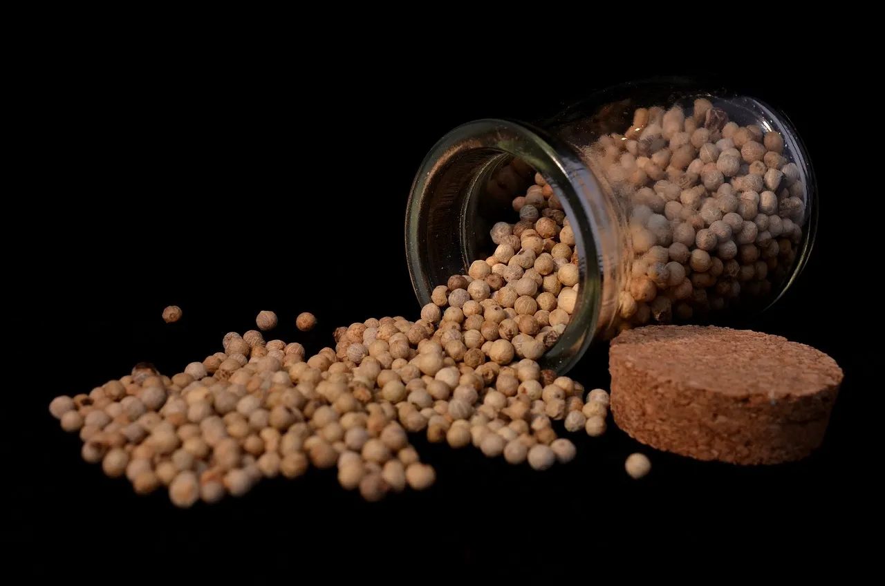 pepper, condiment, spice
