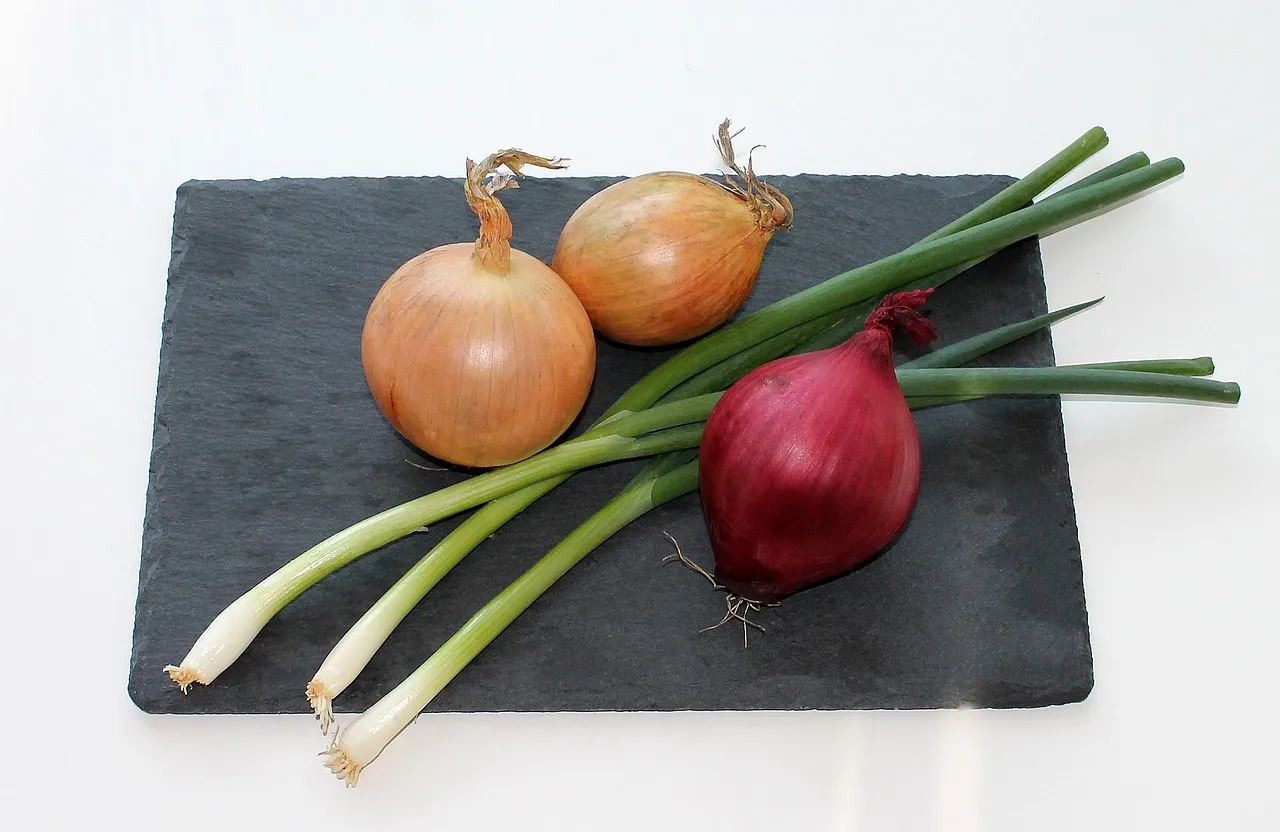 onion, food, red onion